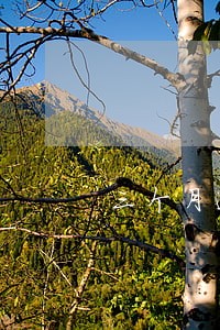 三个月逾期90天是什么意思 三个月逾期90天是什么意思