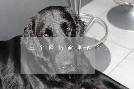 三个网贷逾期两个月 三个网贷逾期两个月