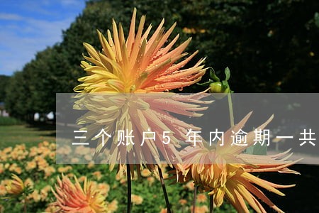 三个账户5年内逾期一共30次 三个账户5年内逾期一共30次