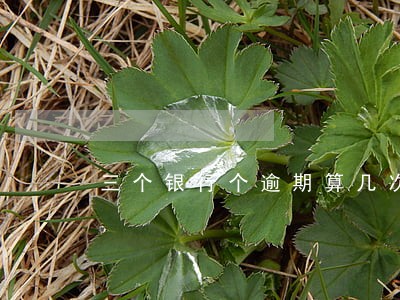 三个银行个逾期算几次 三个银行个逾期算几次