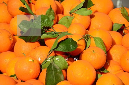 三丰公司名称 三丰公司名称