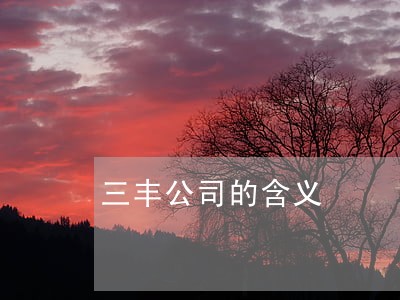 三丰公司的含义 三丰公司的含义