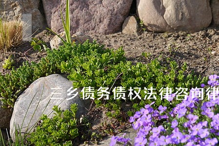 三乡债务债权法律咨询律师 三乡债务债权法律咨询律师