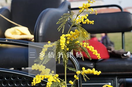 三乡债务律师 三乡债务律师