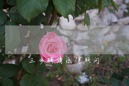 三乡聘请法律顾问