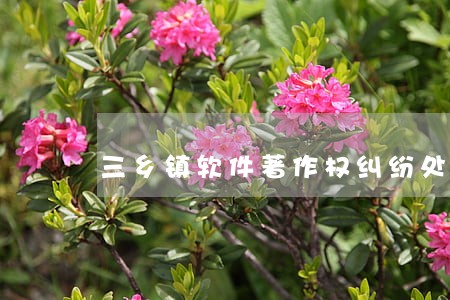 三乡镇软件著作权纠纷处理律师 三乡镇软件著作权纠纷处理律师