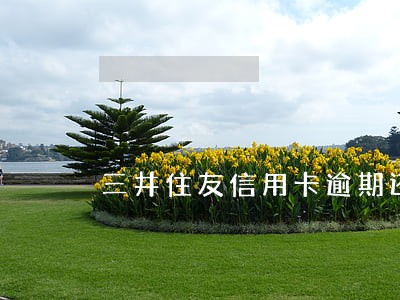 三井住友信用卡逾期还款锁卡