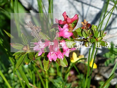 三亚严查旅馆业违法违规经营 三亚严查旅馆业违法违规经营