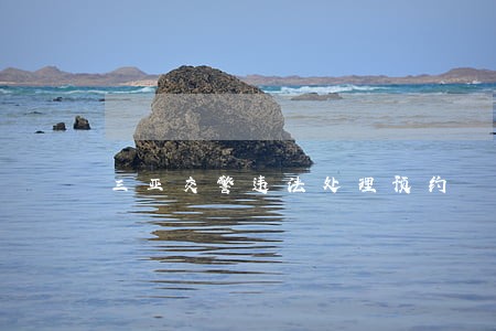 三亚交警违法处理预约