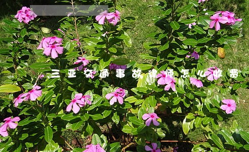 三亚交通事故律师怎么收费 三亚交通事故律师怎么收费