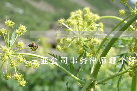 三亚公司事务律师哪个好竭诚服务 三亚公司事务律师哪个好竭诚服务