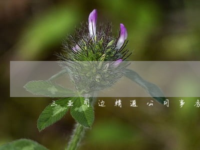 三亚周边精通公司事务律师 三亚周边精通公司事务律师
