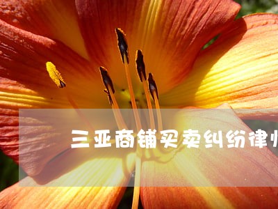 三亚商铺买卖纠纷律师哪个好 三亚商铺买卖纠纷律师哪个好