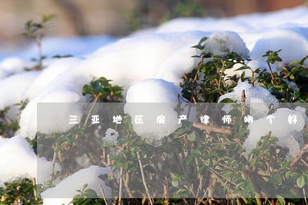 三亚地区房产律师哪个好 三亚地区房产律师哪个好