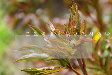 三亚坡道车祸该怎样诉讼