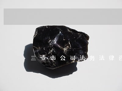 三亚市公司法务法律咨询 三亚市公司法务法律咨询