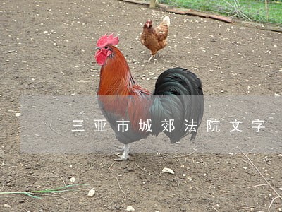 三亚市城郊法院文字