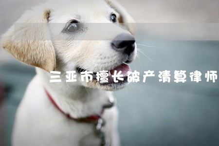 三亚市擅长破产清算律师 三亚市擅长破产清算律师