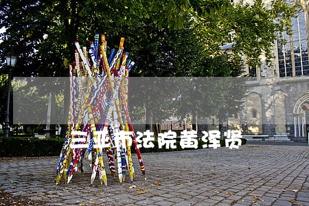 三亚市法院黄泽贤 三亚市法院黄泽贤