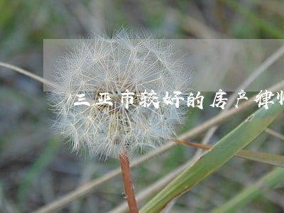 三亚市较好的房产律师