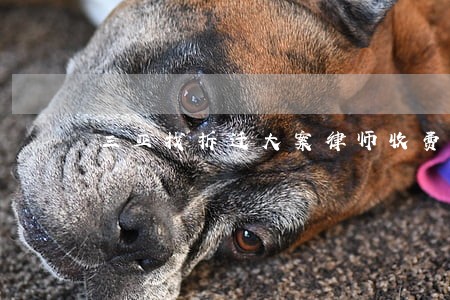 三亚找拆迁大案律师收费