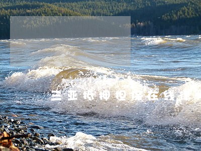 三亚抵押担保在线律师咨询 三亚抵押担保在线律师咨询