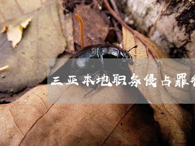 三亚本地职务侵占罪律师怎么样 三亚本地职务侵占罪律师怎么样
