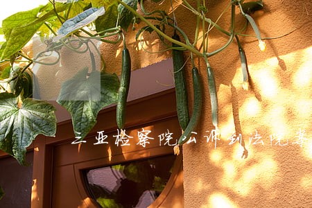 三亚检察院公诉到法院案子 三亚检察院公诉到法院案子