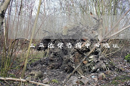 三亚法律咨询中心地址 三亚法律咨询中心地址