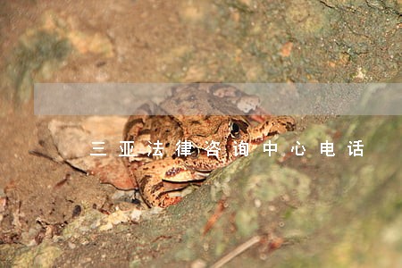 三亚法律咨询中心电话