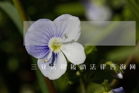 三亚法律援助法律咨询网 三亚法律援助法律咨询网