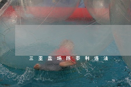 三亚盐场陈泰利违法