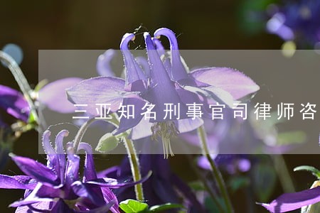 三亚知名刑事官司律师咨询平台 三亚知名刑事官司律师咨询平台