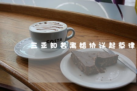 三亚知名离婚协议起草律师哪家强