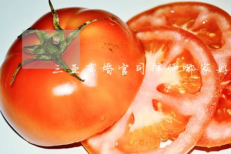 三亚离婚官司律师哪家好 三亚离婚官司律师哪家好