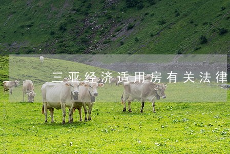 三亚经济适用房有关法律条文 三亚经济适用房有关法律条文