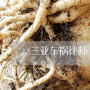 三亚车祸律师 三亚车祸律师