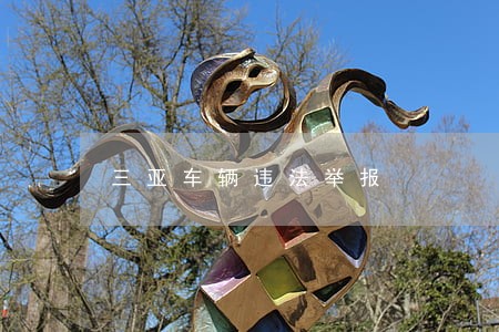 三亚车辆违法举报 三亚车辆违法举报