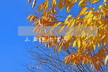 三亚违法官员 三亚违法官员
