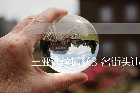 三亚连续抓获3名街头违法人员 三亚连续抓获3名街头违法人员