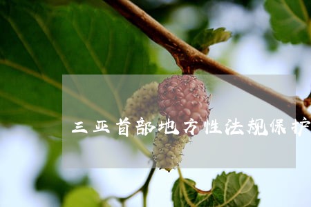 三亚首部地方性法规保护城市公园 三亚首部地方性法规保护城市公园