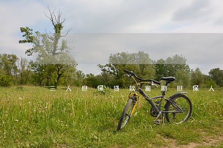 三人担保贷款逾期担保人责住6 三人担保贷款逾期担保人责住6
