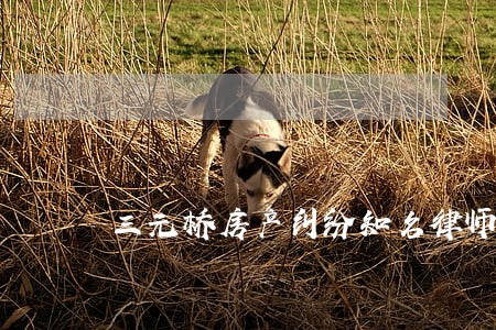 三元桥房产纠纷知名律师 三元桥房产纠纷知名律师