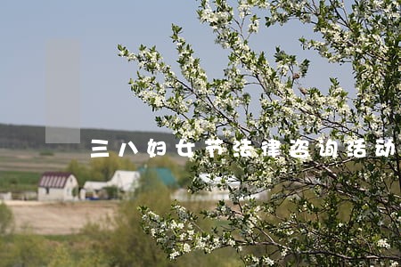 三八妇女节法律咨询活动 三八妇女节法律咨询活动