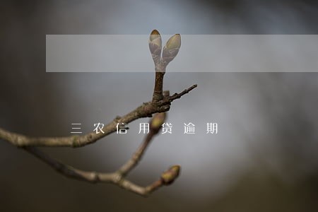 三农信用贷逾期 三农信用贷逾期