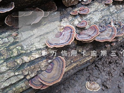 三十万信用卡逾期三个月 三十万信用卡逾期三个月
