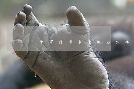 三十万信用卡逾期怎么办 三十万信用卡逾期怎么办