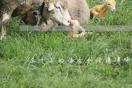 三十万的债务纠纷请律师多少钱 三十万的债务纠纷请律师多少钱