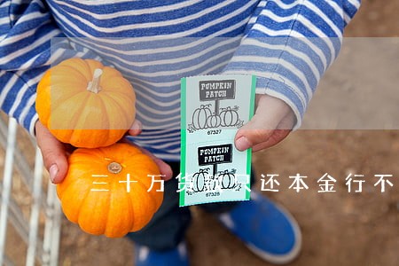 三十万货款只还本金行不 三十万货款只还本金行不