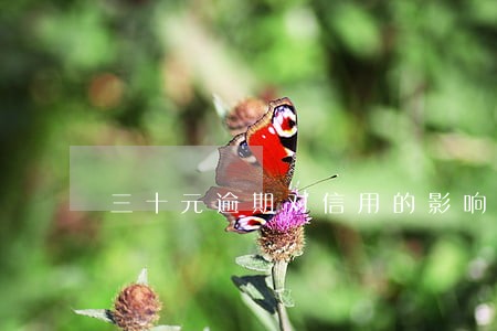 三十元逾期对信用的影响 三十元逾期对信用的影响